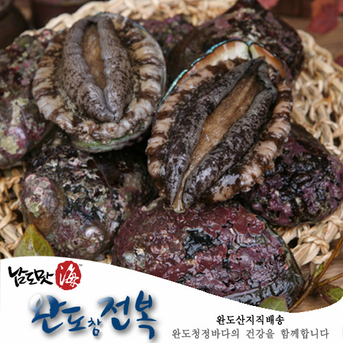 [완도] 자연산전복 中(10~12미/1kg기준)해녀채취,우체국무료배송