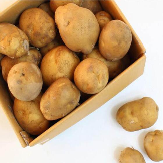못난이 감자 특(100-140g)